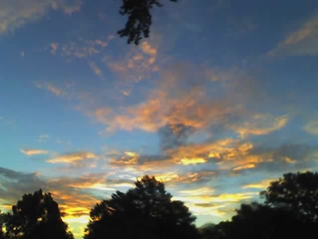 background taken wih Moto-V551